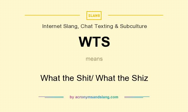 What does WTS mean? It stands for What the Shit/ What the Shiz