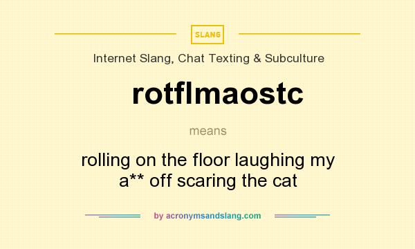What does rotflmaostc mean? It stands for rolling on the floor laughing my a** off scaring the cat