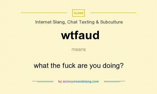What does wtfaud mean? It stands for what the fuck are you doing?