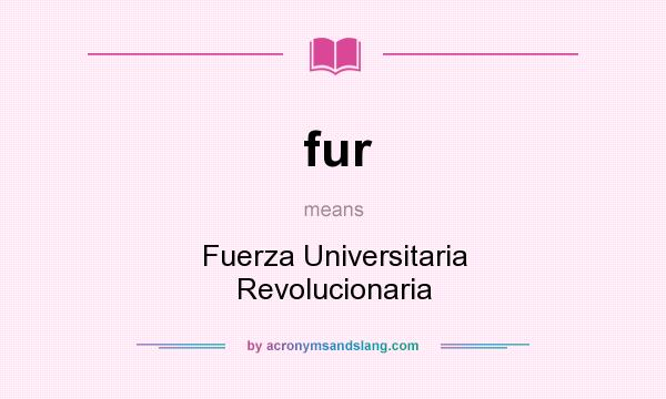 What does fur mean? It stands for Fuerza Universitaria Revolucionaria