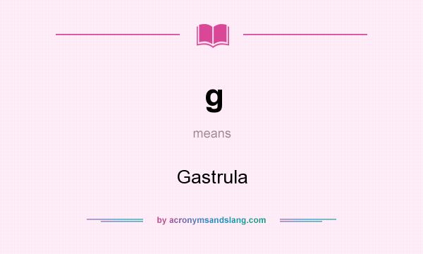 What does g mean? It stands for Gastrula