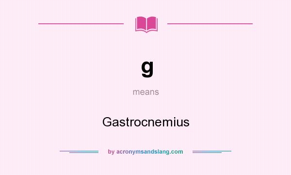What does g mean? It stands for Gastrocnemius