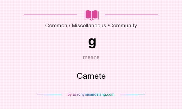 What does g mean? It stands for Gamete