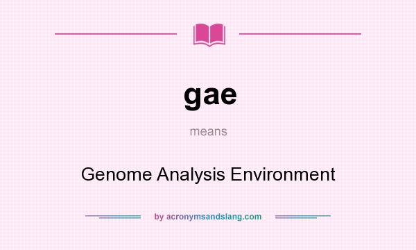 What does gae mean? It stands for Genome Analysis Environment
