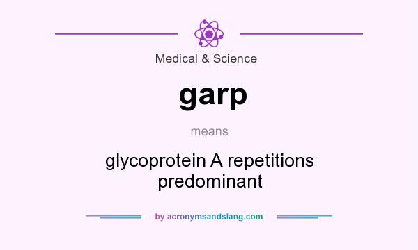 What does garp mean? It stands for glycoprotein A repetitions predominant