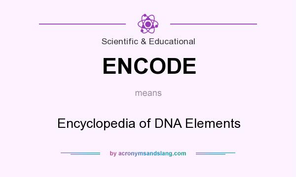 What does ENCODE mean? It stands for Encyclopedia of DNA Elements