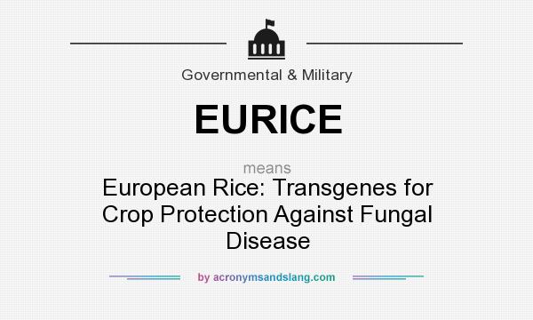 What does EURICE mean? It stands for European Rice: Transgenes for Crop Protection Against Fungal Disease