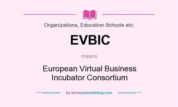 What does EVBIC mean? It stands for European Virtual Business Incubator Consortium