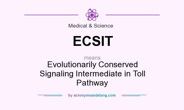 What does ECSIT mean? It stands for Evolutionarily Conserved Signaling Intermediate in Toll Pathway