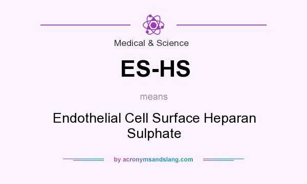 What does ES-HS mean? It stands for Endothelial Cell Surface Heparan Sulphate