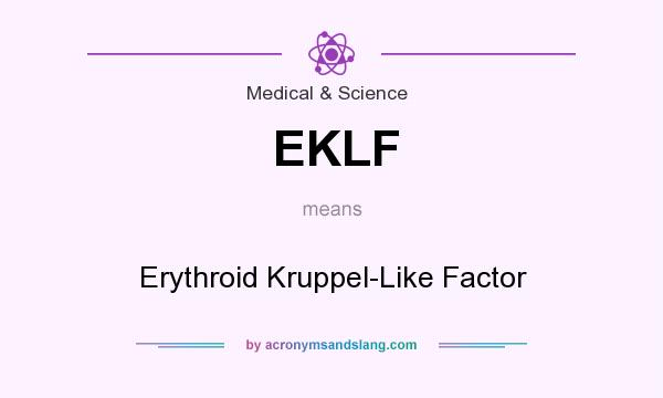 What does EKLF mean? It stands for Erythroid Kruppel-Like Factor