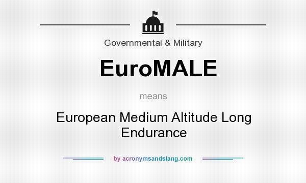 What does EuroMALE mean? It stands for European Medium Altitude Long Endurance