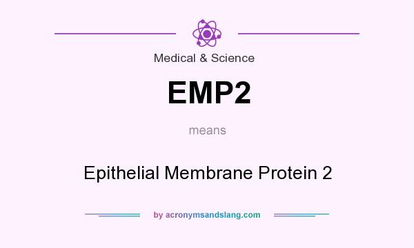 What does EMP2 mean? It stands for Epithelial Membrane Protein 2