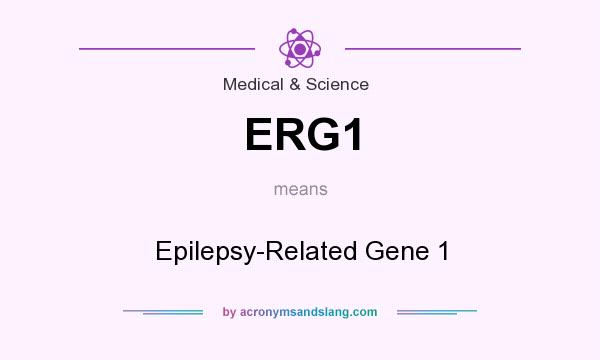 What does ERG1 mean? It stands for Epilepsy-Related Gene 1