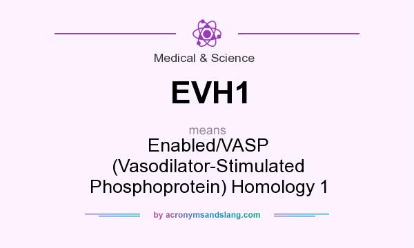 What does EVH1 mean? It stands for Enabled/VASP (Vasodilator-Stimulated Phosphoprotein) Homology 1