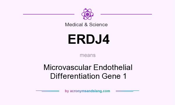 What does ERDJ4 mean? It stands for Microvascular Endothelial Differentiation Gene 1