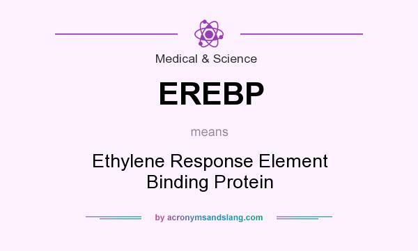 What does EREBP mean? It stands for Ethylene Response Element Binding Protein