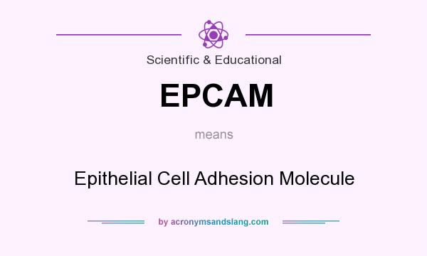 What does EPCAM mean? It stands for Epithelial Cell Adhesion Molecule