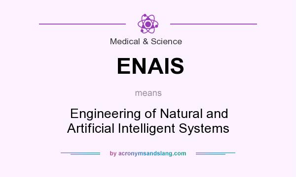 What does ENAIS mean? It stands for Engineering of Natural and Artificial Intelligent Systems