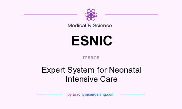 What does ESNIC mean? It stands for Expert System for Neonatal Intensive Care