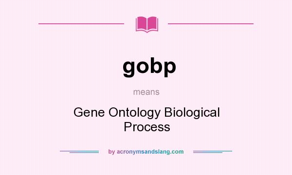What does gobp mean? It stands for Gene Ontology Biological Process
