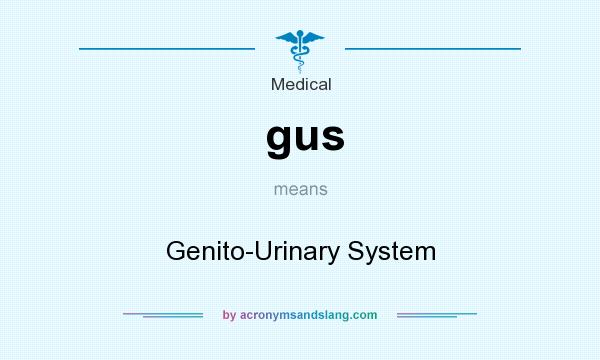 What does gus mean? It stands for Genito-Urinary System
