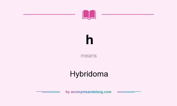 What does h mean? It stands for Hybridoma