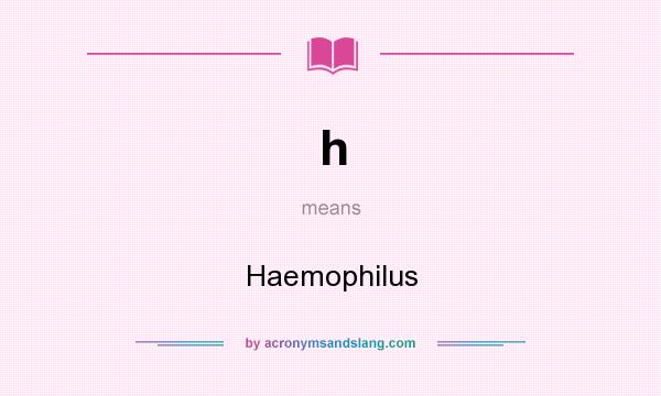 What does h mean? It stands for Haemophilus