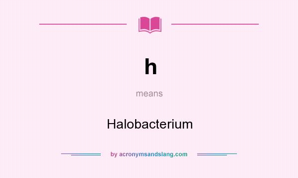 What does h mean? It stands for Halobacterium