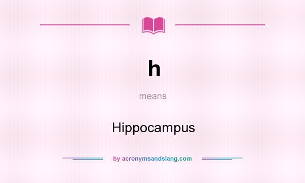 What does h mean? It stands for Hippocampus