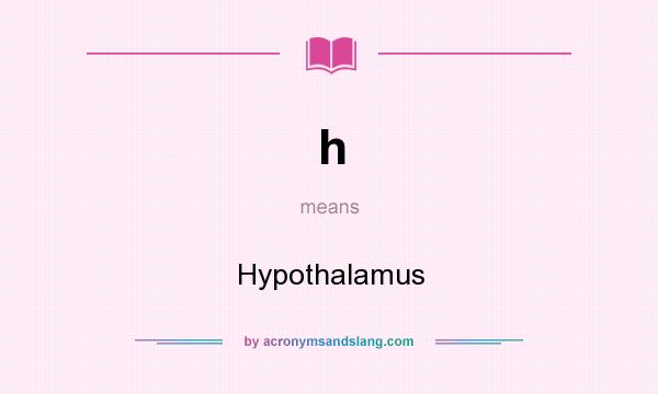 What does h mean? It stands for Hypothalamus