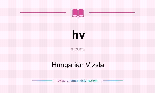 What does hv mean? It stands for Hungarian Vizsla