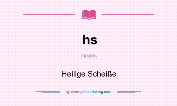 What does hs mean? It stands for Heilige Scheiße