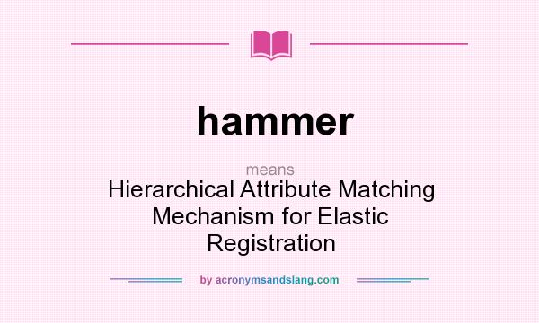 What does hammer mean? It stands for Hierarchical Attribute Matching Mechanism for Elastic Registration