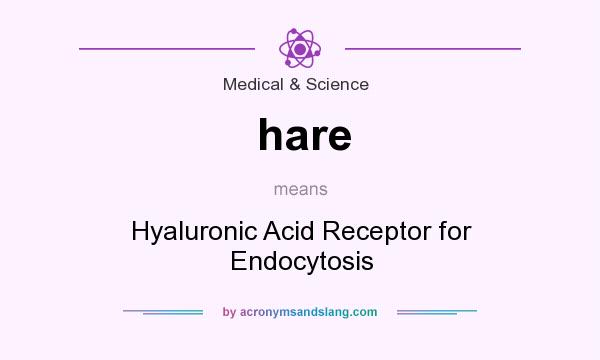 What does hare mean? It stands for Hyaluronic Acid Receptor for Endocytosis