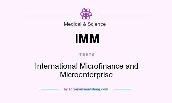 What does IMM mean? It stands for International Microfinance and Microenterprise