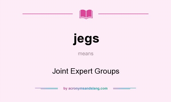What does jegs mean? It stands for Joint Expert Groups