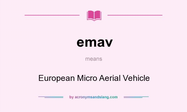 What does emav mean? It stands for European Micro Aerial Vehicle