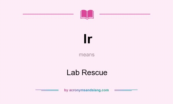 What does lr mean? It stands for Lab Rescue