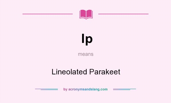 What does lp mean? It stands for Lineolated Parakeet