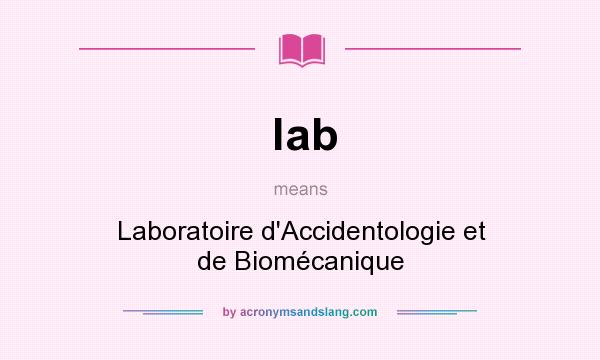 What does lab mean? It stands for Laboratoire d`Accidentologie et de Biomécanique