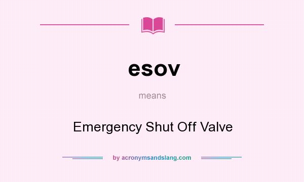What does esov mean? It stands for Emergency Shut Off Valve