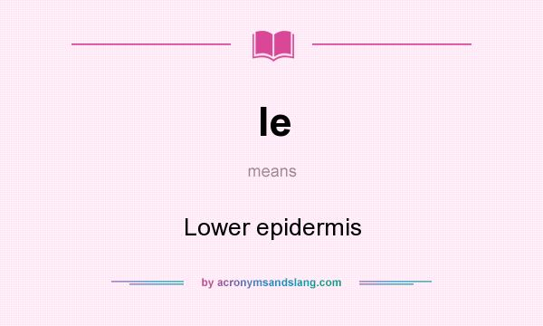 What does le mean? It stands for Lower epidermis