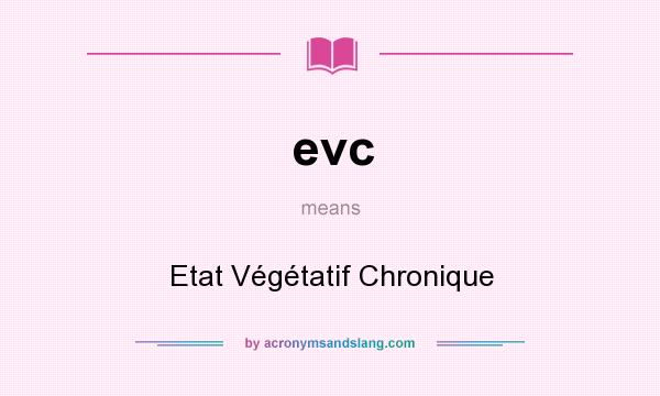 What does evc mean? It stands for Etat Végétatif Chronique