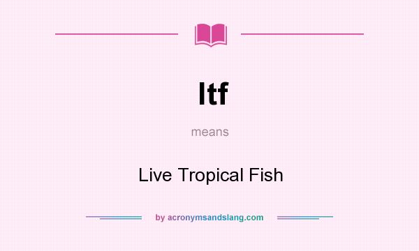 What does ltf mean? It stands for Live Tropical Fish