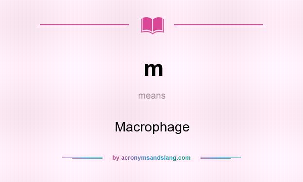What does m mean? It stands for Macrophage