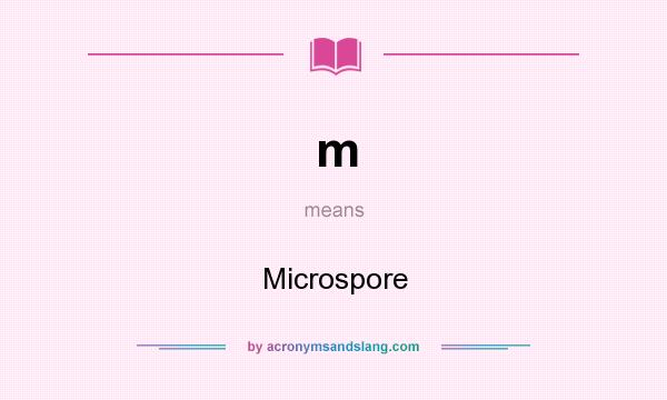 What does m mean? It stands for Microspore