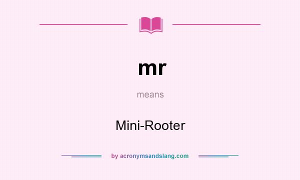 What does mr mean? It stands for Mini-Rooter