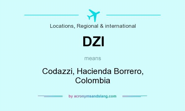 What does DZI mean? It stands for Codazzi, Hacienda Borrero, Colombia
