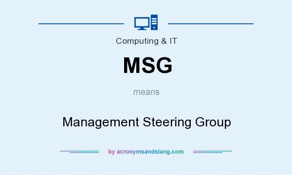 What does MSG mean? It stands for Management Steering Group
